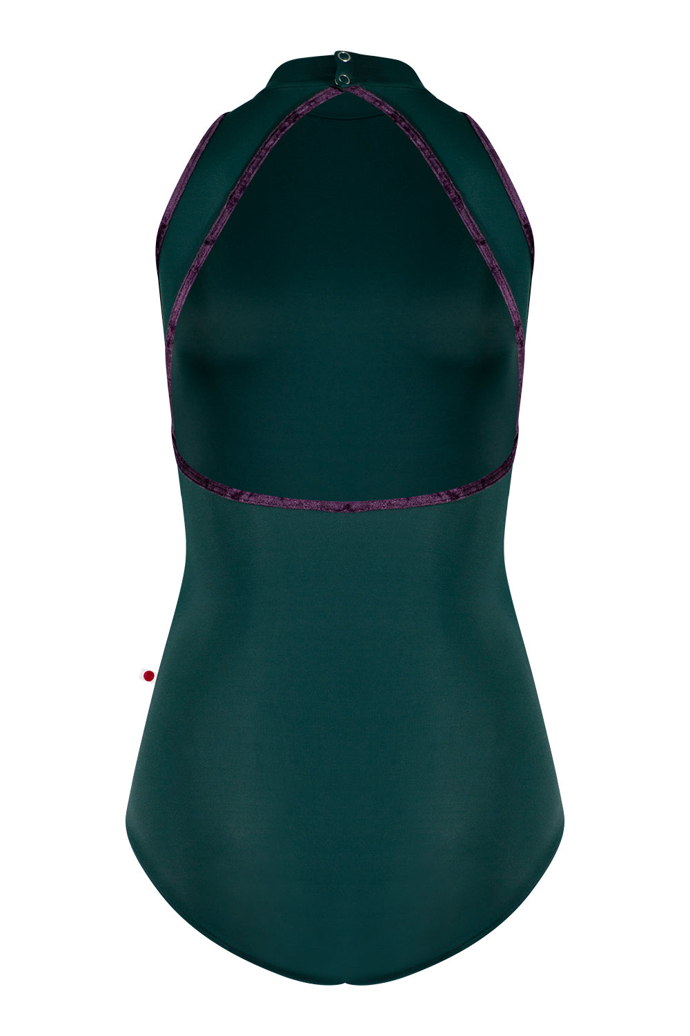 Noe leotard in T-Kale body color with CV-Eggplant trim color