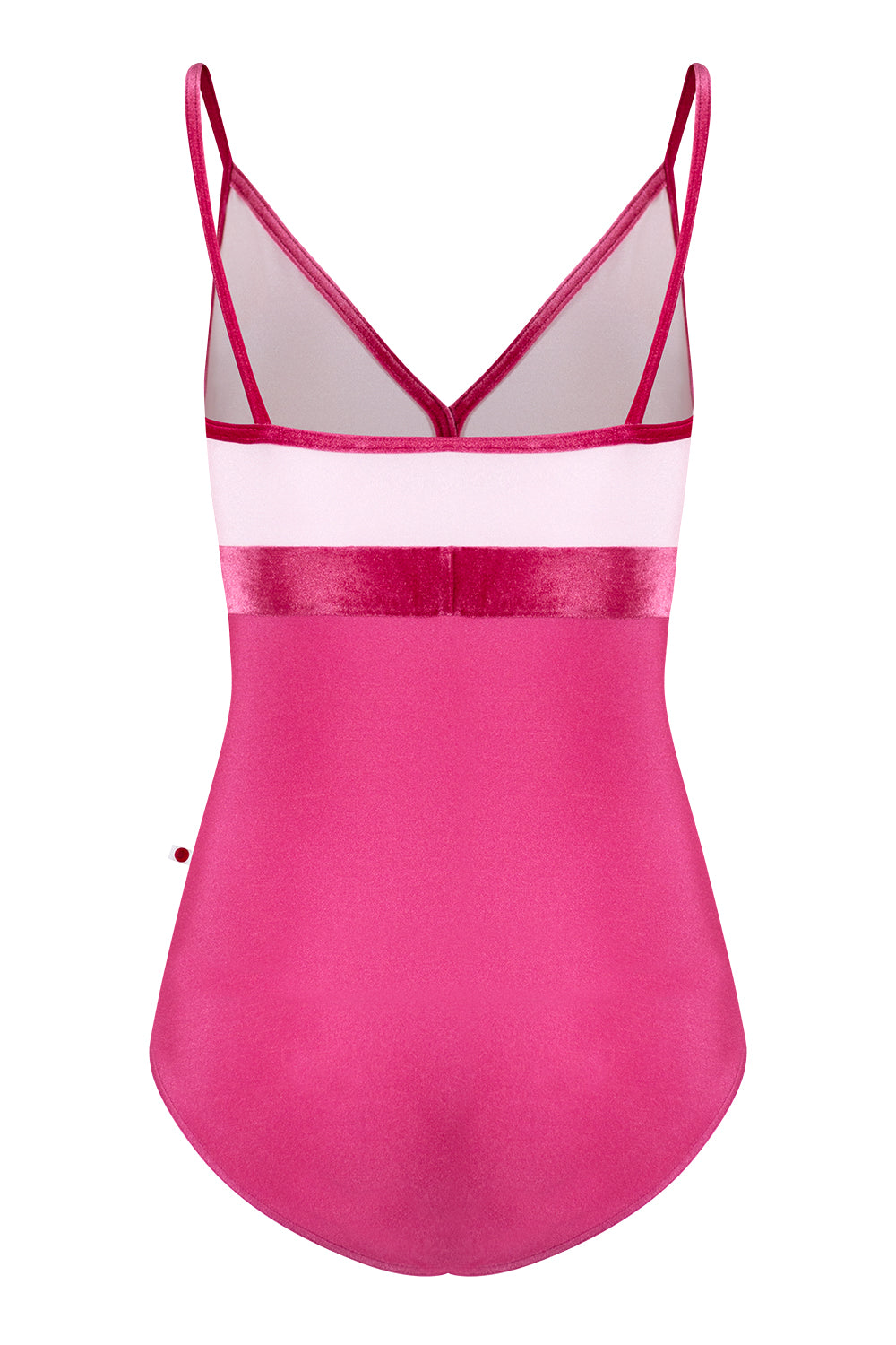 Zoe leotard in N-Waltz body color with N-Rose top color and V-Peony trim & middle band color