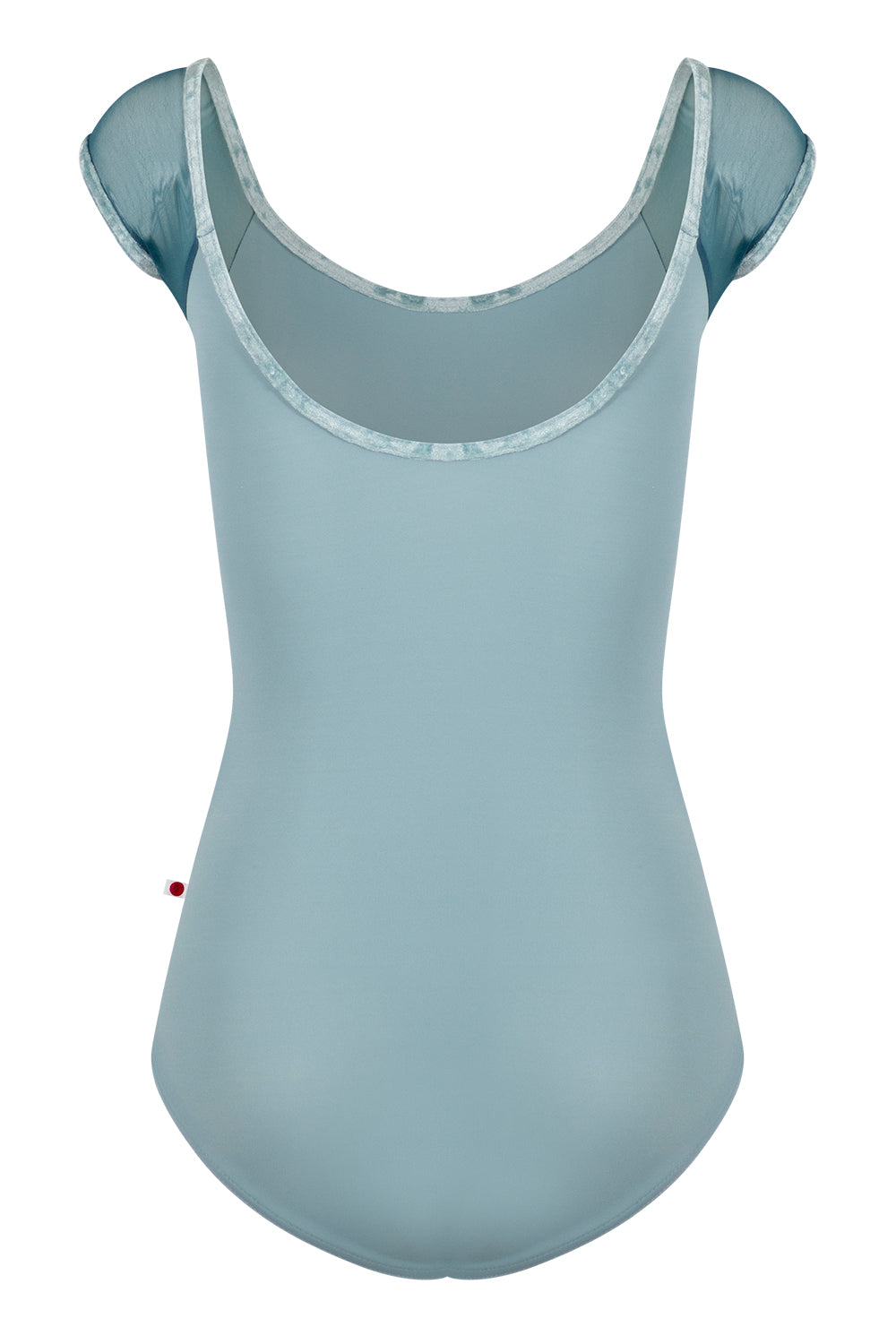 Wendy leotard with cap sleeves in T-Fog body color with Mesh Lagoon top color and CV-Ice trim color