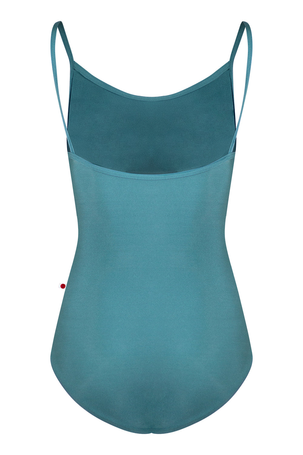 Kathy leotard in N-Frost body & trim color with Mesh Lagoon overlay